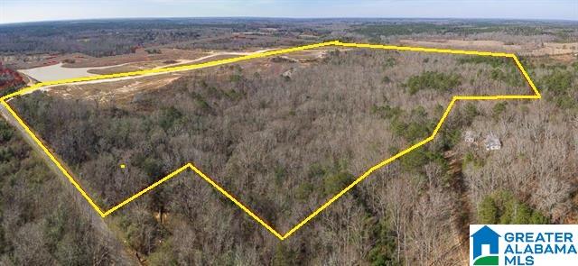 0 County Road 25, Unit 1 Jemison, AL 35085 - Photo 2 of 19