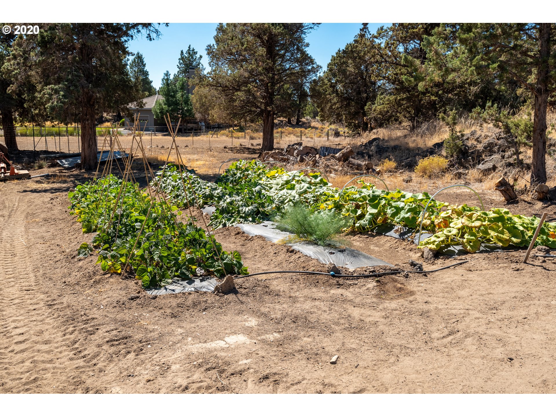 64615 Hunnell Road Bend, OR 97703 - Photo 28 of 32