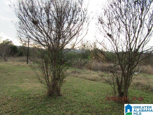 35825 Highway 79 Cleveland, AL 35049 - Photo 4 of 22