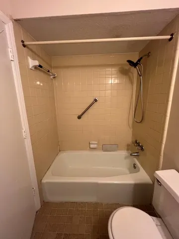 a bathroom with a toilet and a bathtub