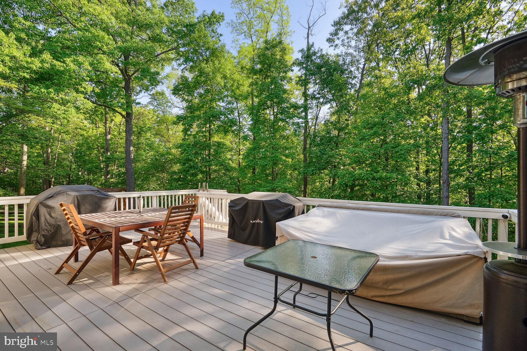 9502 Vinnia Court Manassas, VA 20110 - Photo 50 of 50