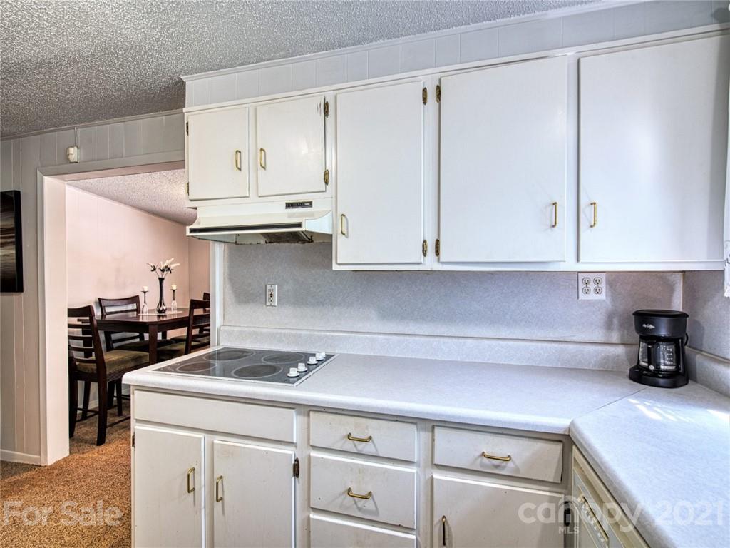 33 Newfound Road Asheville, NC 28806 - Photo 11 of 48 Gallery Image 11