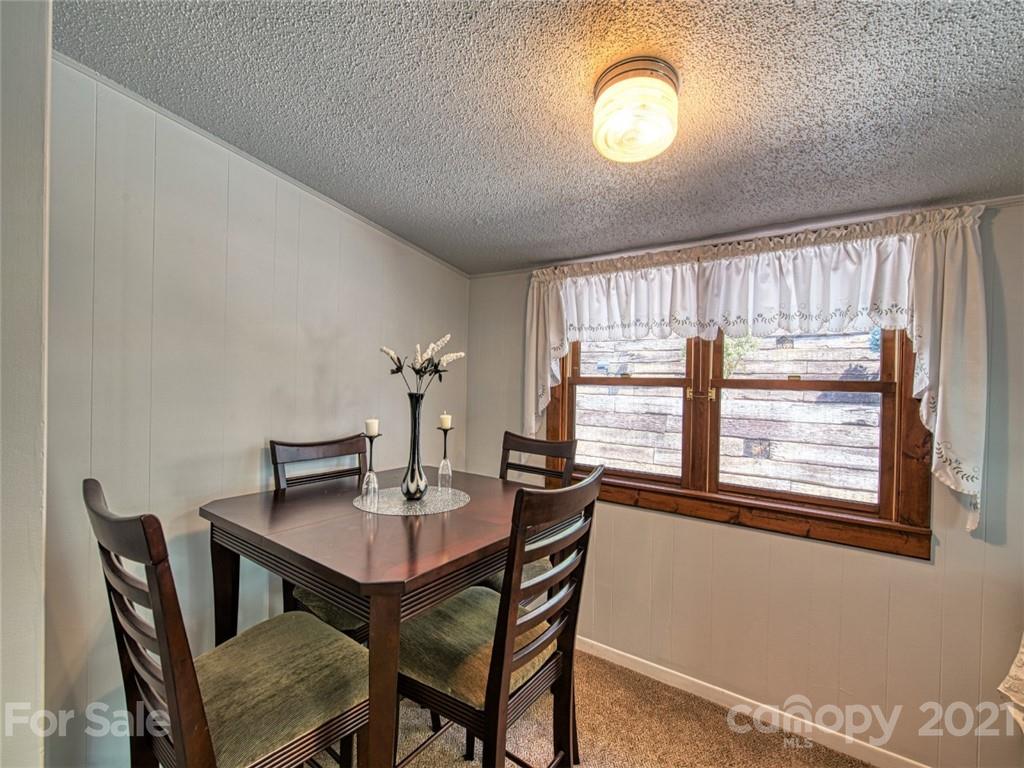 33 Newfound Road Asheville, NC 28806 - Photo 12 of 48 Gallery Image 12