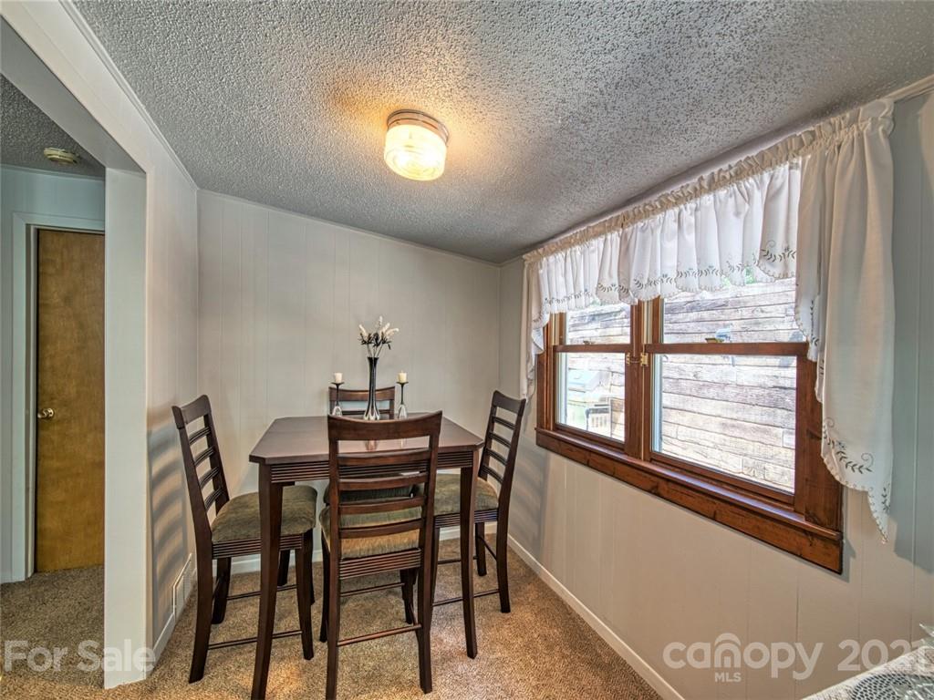33 Newfound Road Asheville, NC 28806 - Photo 13 of 48 Gallery Image 13