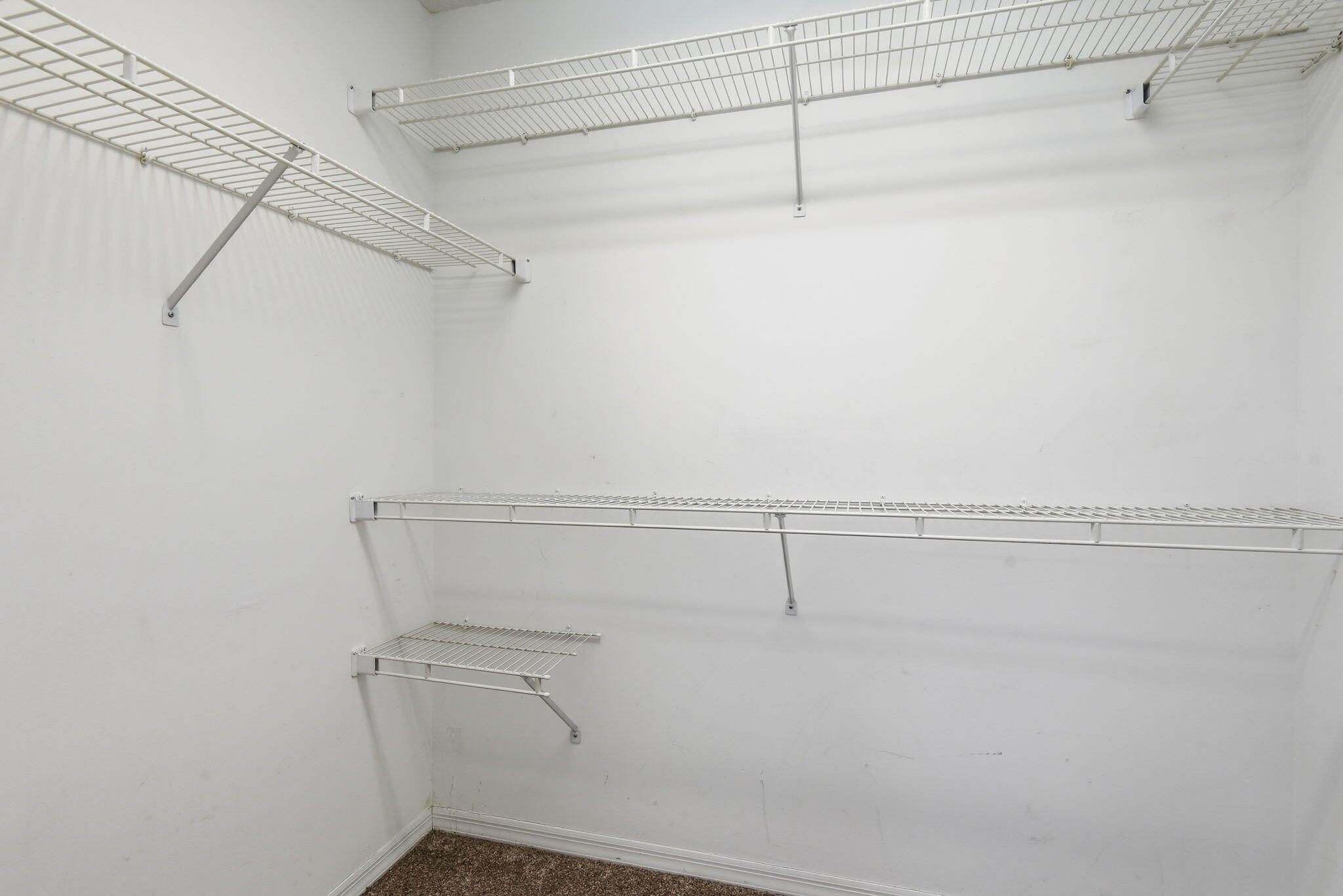 7350 Southwest 161st Place Miami, FL 33193 - Photo 20 of 31 a view of a room with racks on the wall