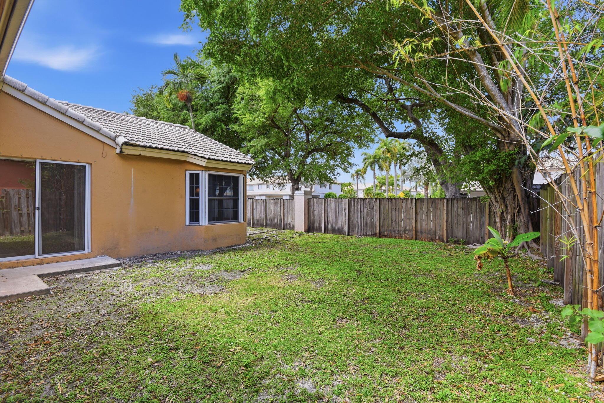 7350 Southwest 161st Place Miami, FL 33193 - Photo 29 of 31 a view of a backyard with plants and large tree