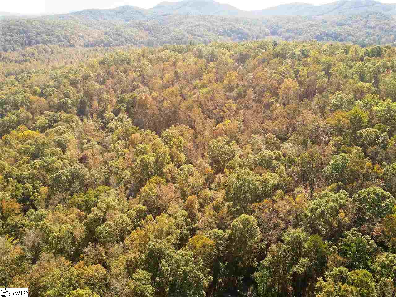 206 Hunters Ridge Pickens, SC 29671 - Photo 28 of 34