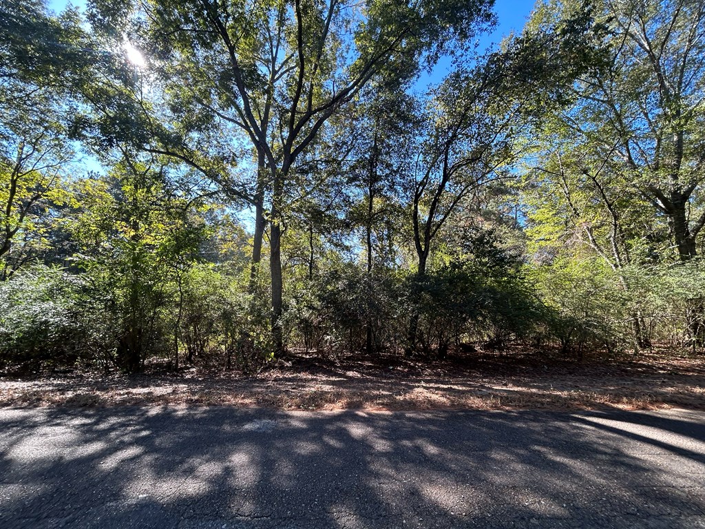 140/ Cty Road Headland, AL 36345 - Photo 11 of 33