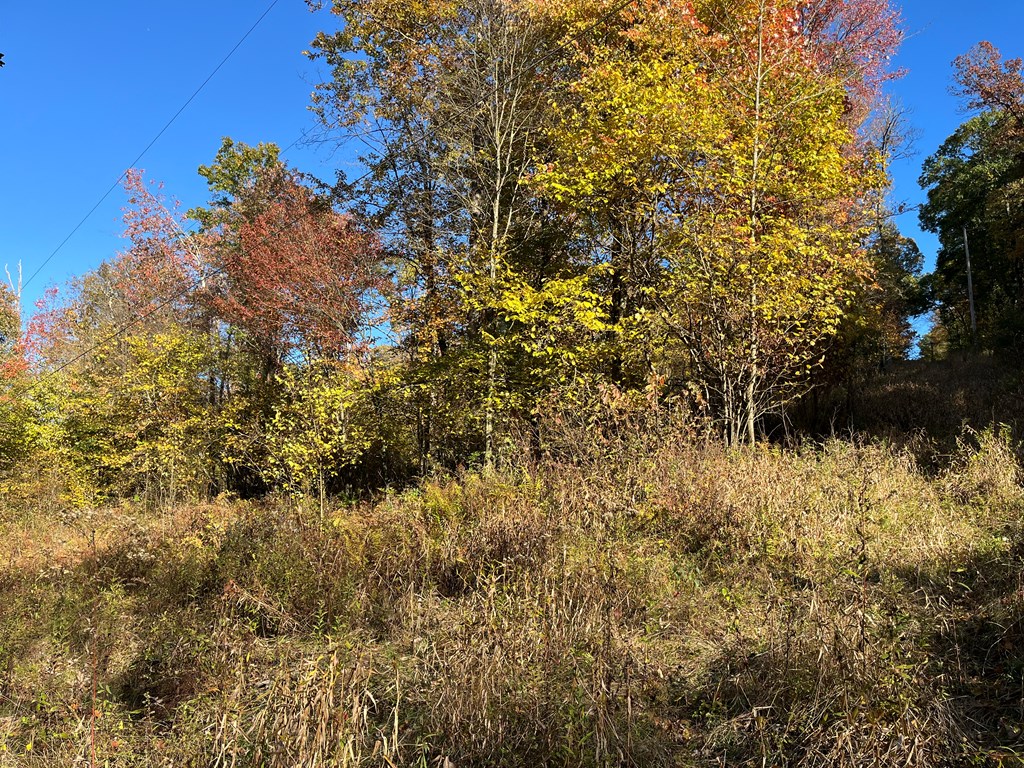 0 Trout Run Road Titusville, PA 16354 - Photo 4 of 10