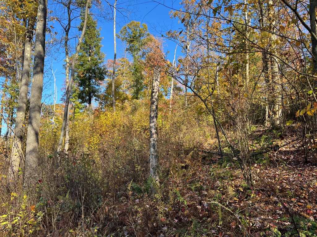 0 Trout Run Road Titusville, PA 16354 - Photo 5 of 10