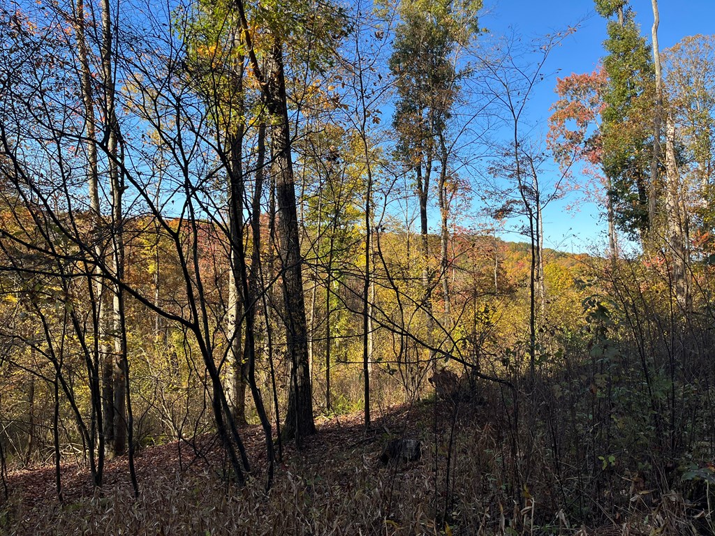 0 Trout Run Road Titusville, PA 16354 - Photo 6 of 10