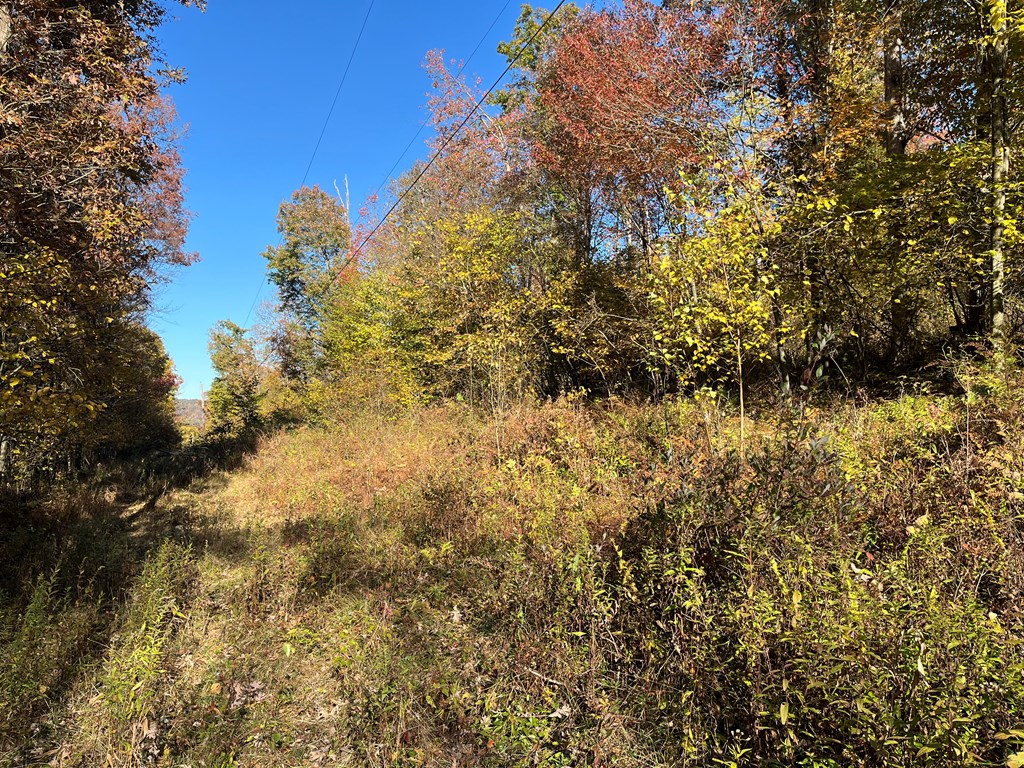 0 Trout Run Road Titusville, PA 16354 - Photo 10 of 10