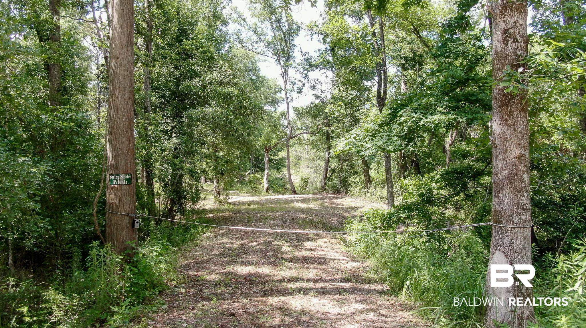 0 Richards Lane Foley, AL 36535 - Photo 5 of 14