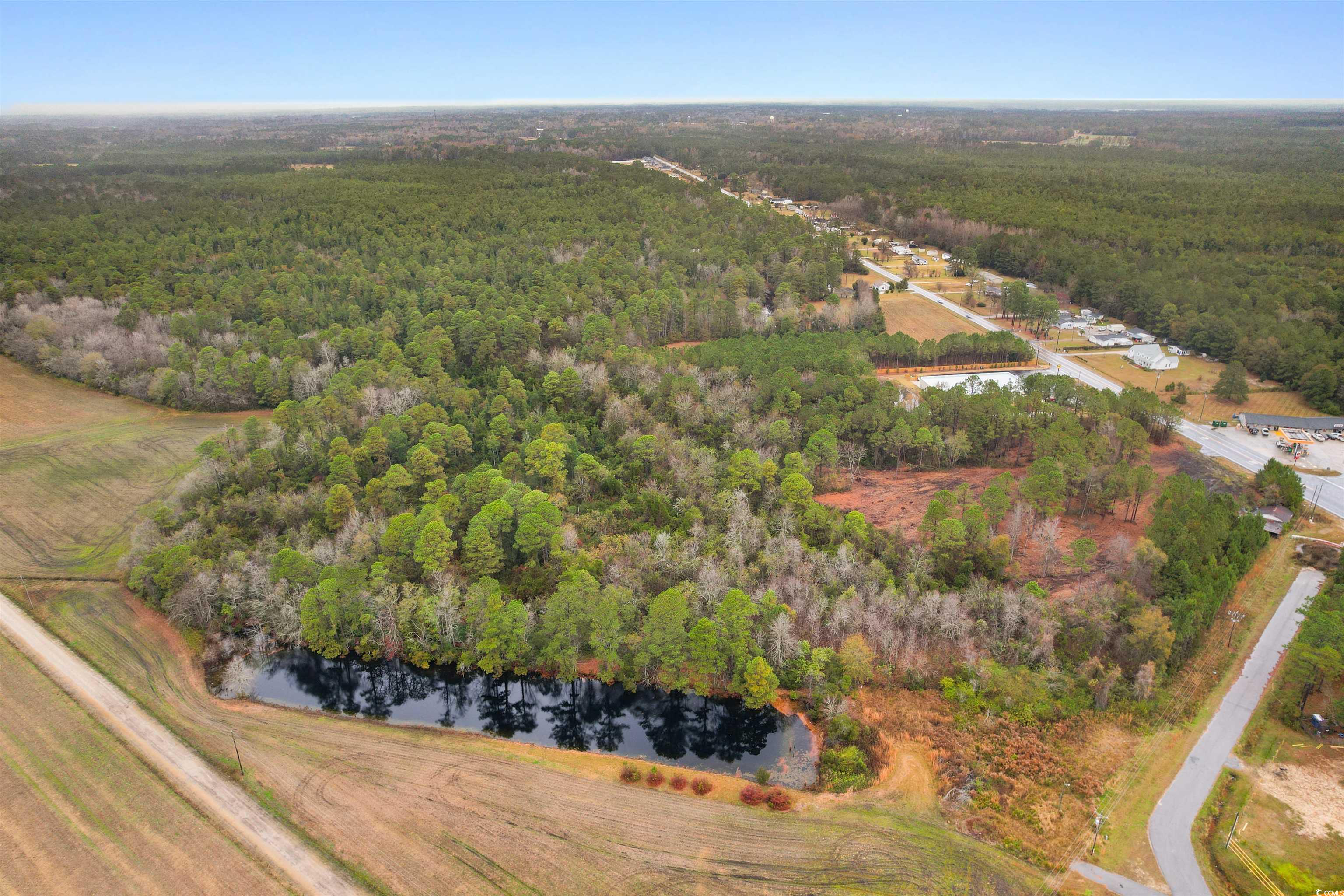 Tbd Lot 1 Red Bluff Road Loris, SC 29569 - Photo 7 of 13 Aerial overview of property's location with a large body of water and a forest