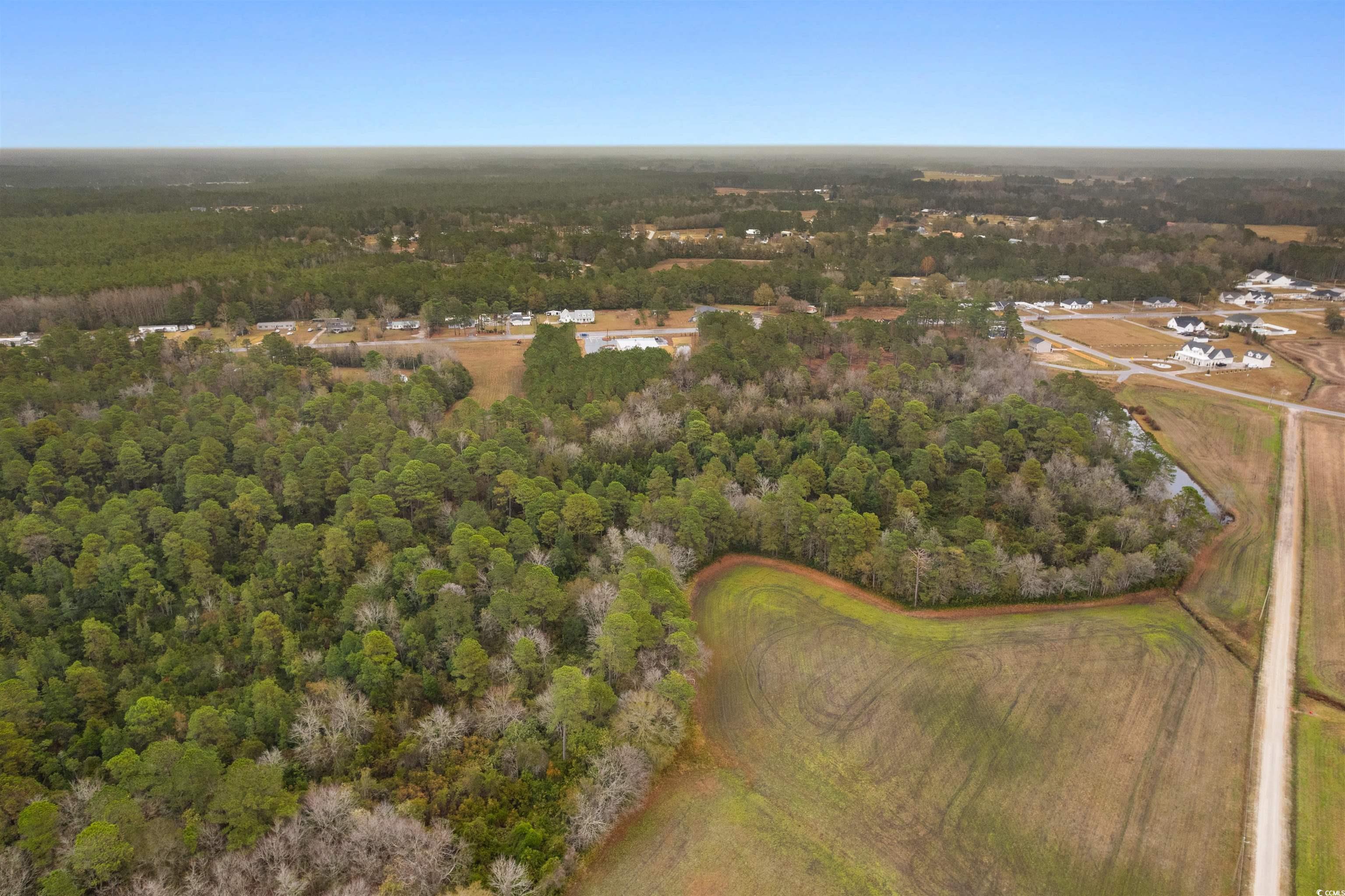 Tbd Lot 1 Red Bluff Road Loris, SC 29569 - Photo 9 of 13 Aerial view