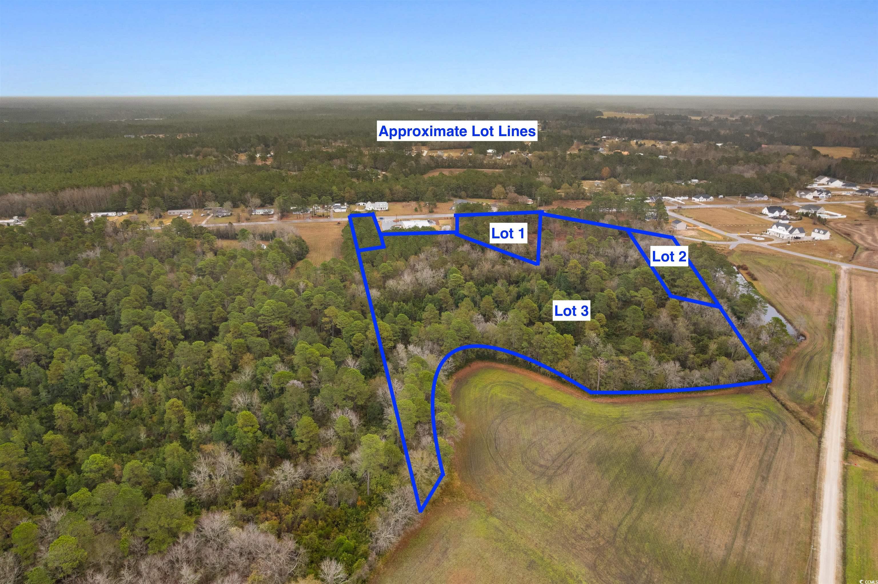 Tbd Lot 1 Red Bluff Road Loris, SC 29569 - Photo 10 of 13 Aerial overview of property's location with property boundaries highlighted