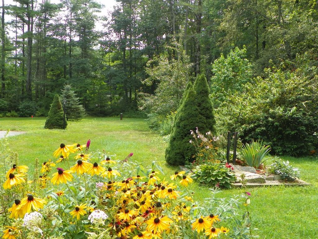 753 Limerick Road Arundel, ME 04046 - Photo 31 of 35 Views from the front of the house.
