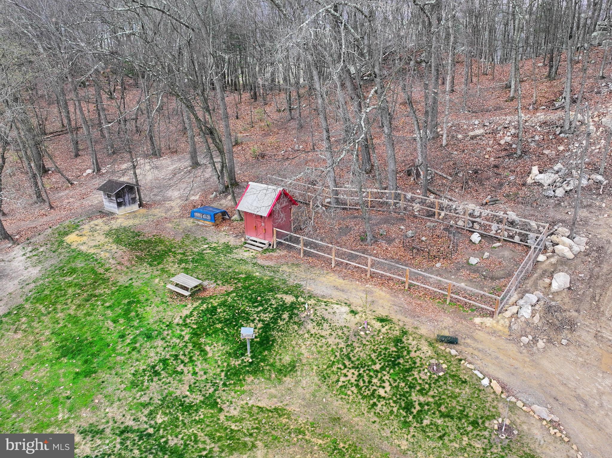 192 Northern Pine Road Hopewell, PA 16650 - Photo 53 of 66 a backyard of a house with lots of green space and trees