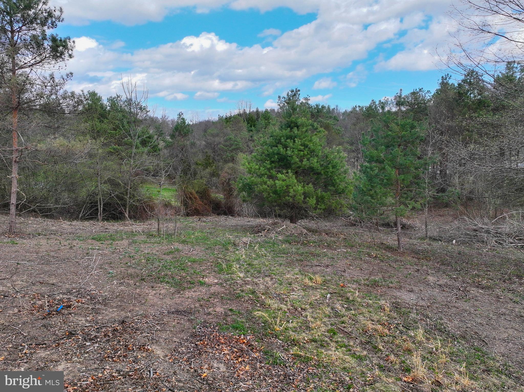 192 Northern Pine Road Hopewell, PA 16650 - Photo 58 of 66 a view of a yard with a tree