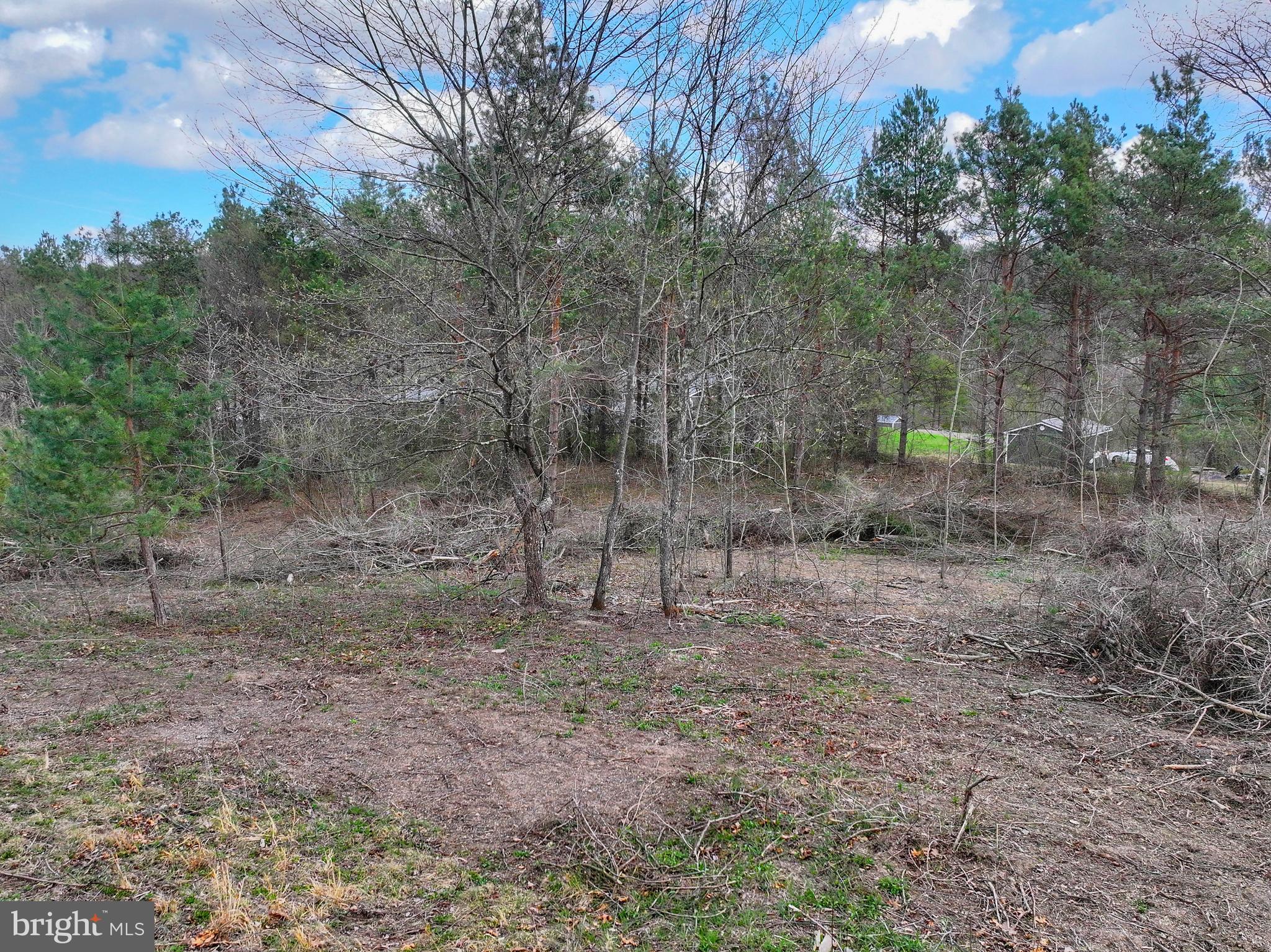 192 Northern Pine Road Hopewell, PA 16650 - Photo 60 of 66 a view of a forest with trees in the background
