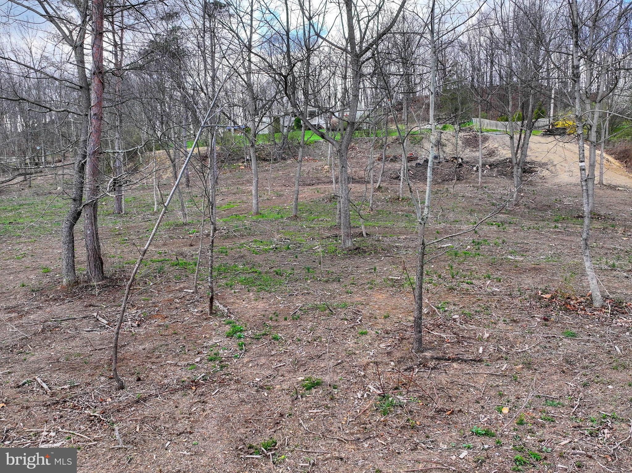192 Northern Pine Road Hopewell, PA 16650 - Photo 61 of 66 a backyard of a house with lots of green space