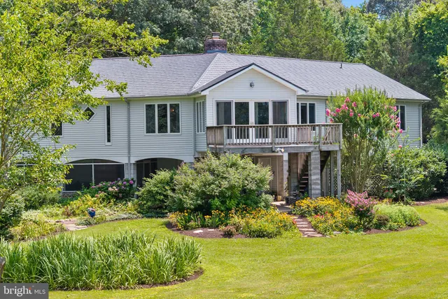 a view of a yard with a tree