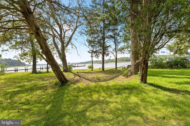 a front view of a house with a potted plant