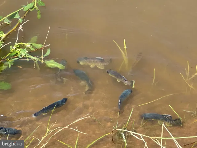 a view of a lake view