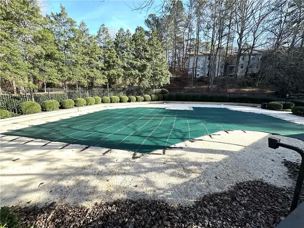 a view of a backyard with large trees