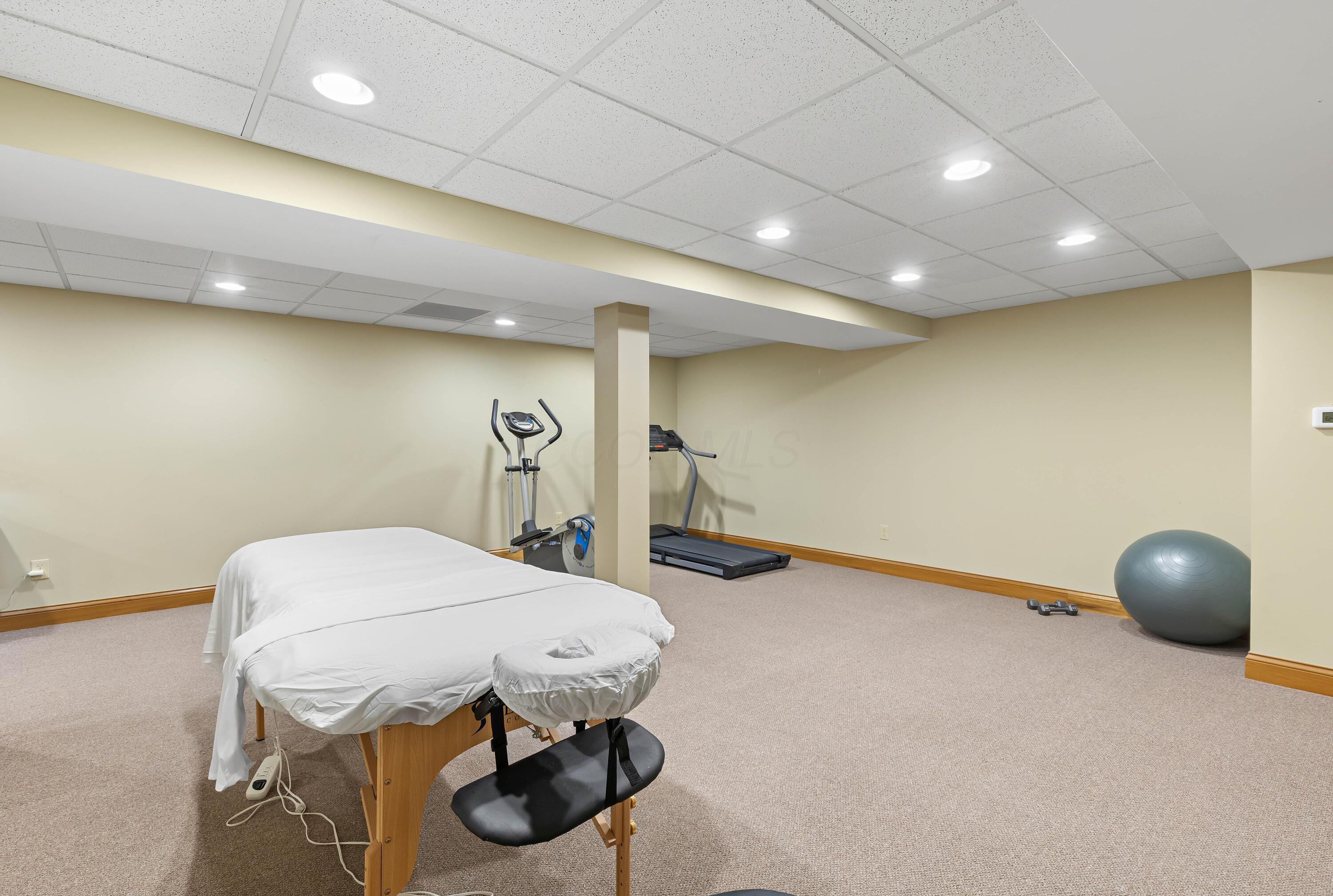 1364 Dale Ford Road Delaware, OH 43015 - Photo 80 of 112 • Berber carpet • Sage painted walls • Can lighting • Acoustic ceiling tiles • Storage under stairs