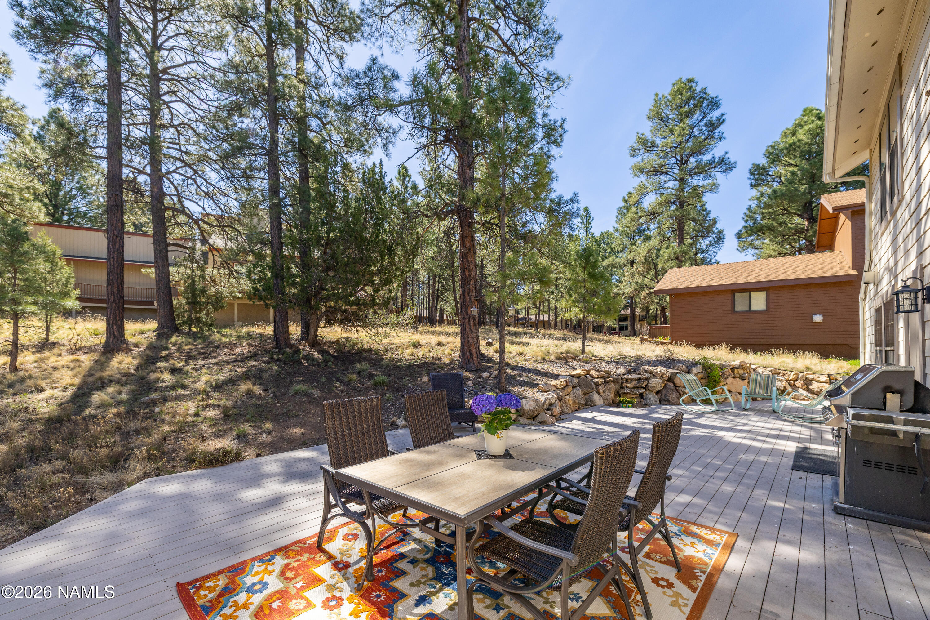 2395 North Broken Circle Road Flagstaff, AZ 86004 - Photo 48 of 62 CP-10