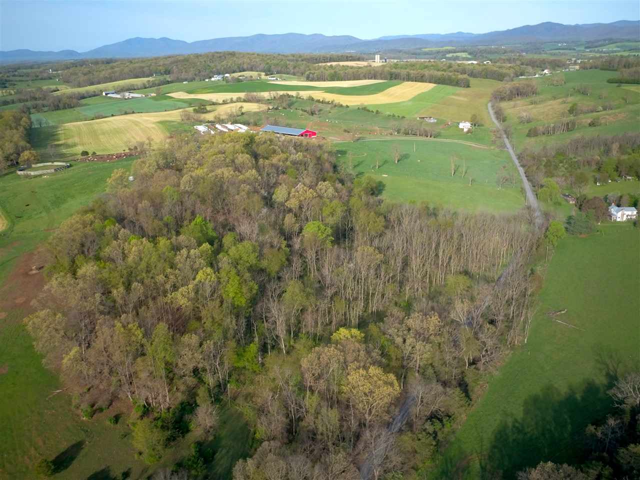 7.5-acres Nash Road Mount Solon, VA 22843 - Photo 4 of 9 Gallery Image 4