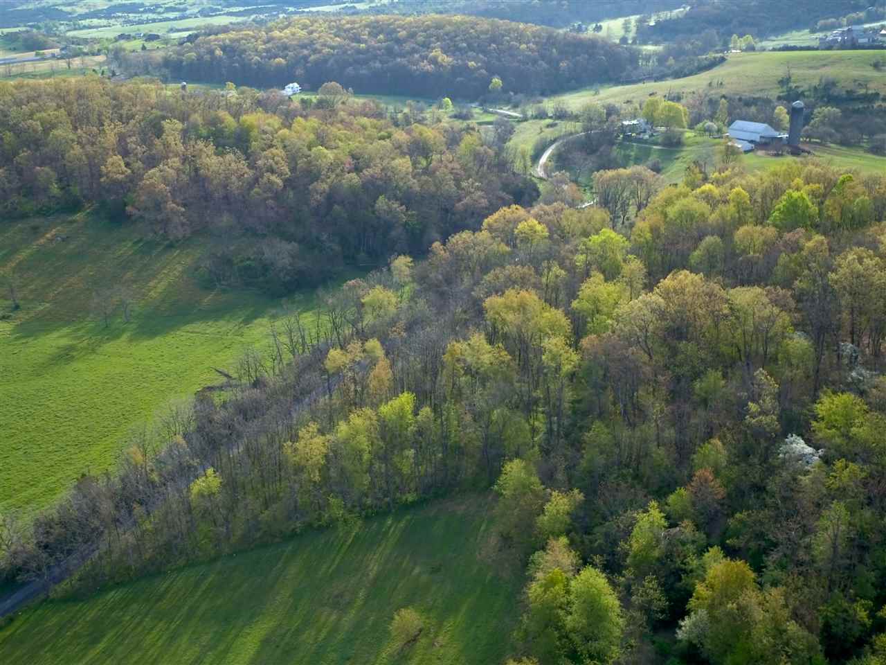 7.5-acres Nash Road Mount Solon, VA 22843 - Photo 5 of 9 Gallery Image 5