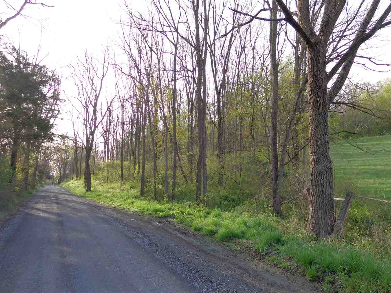 7.5-acres Nash Road Mount Solon, VA 22843 - Photo 8 of 9 Gallery Image 8