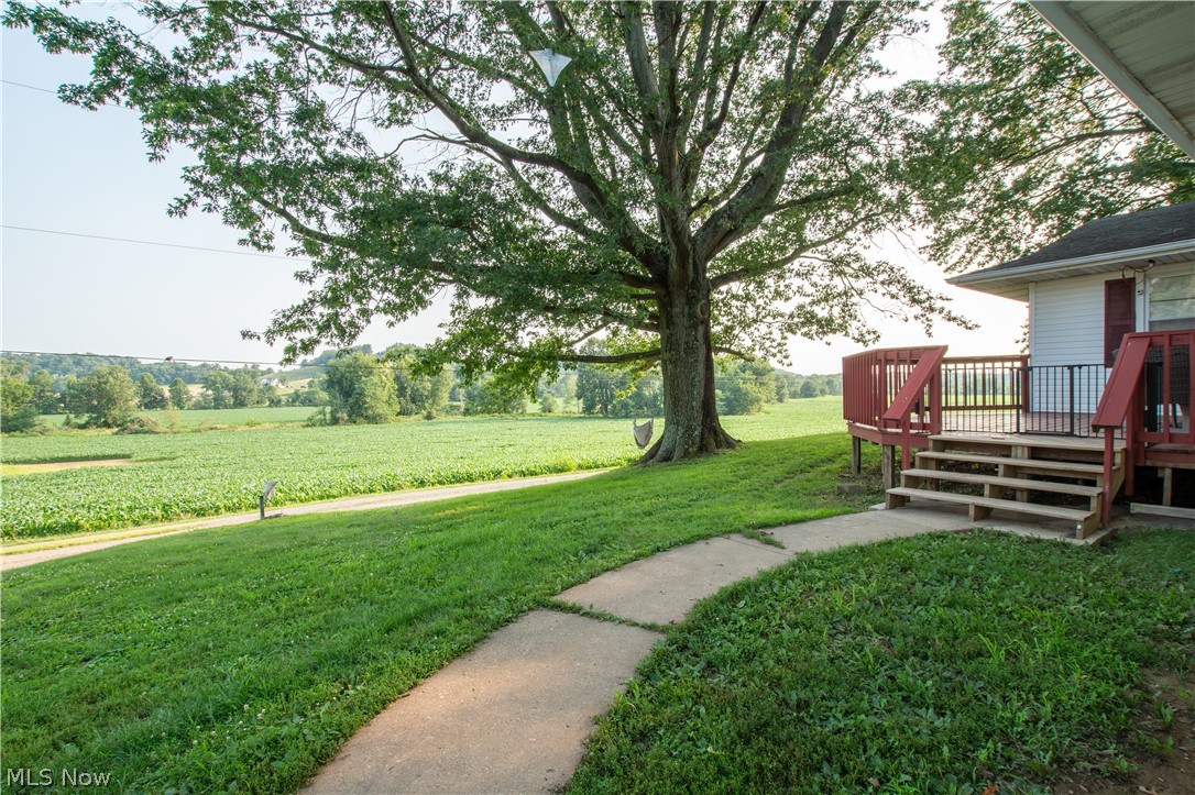 1757 Pleasant Valley Road Northeast New Philadelphia, OH 44663 - Photo 7 of 33 Expansive green landscape featuring a mature tree, a concrete pathway, a wooden deck with red railings, and distant agricultural fields