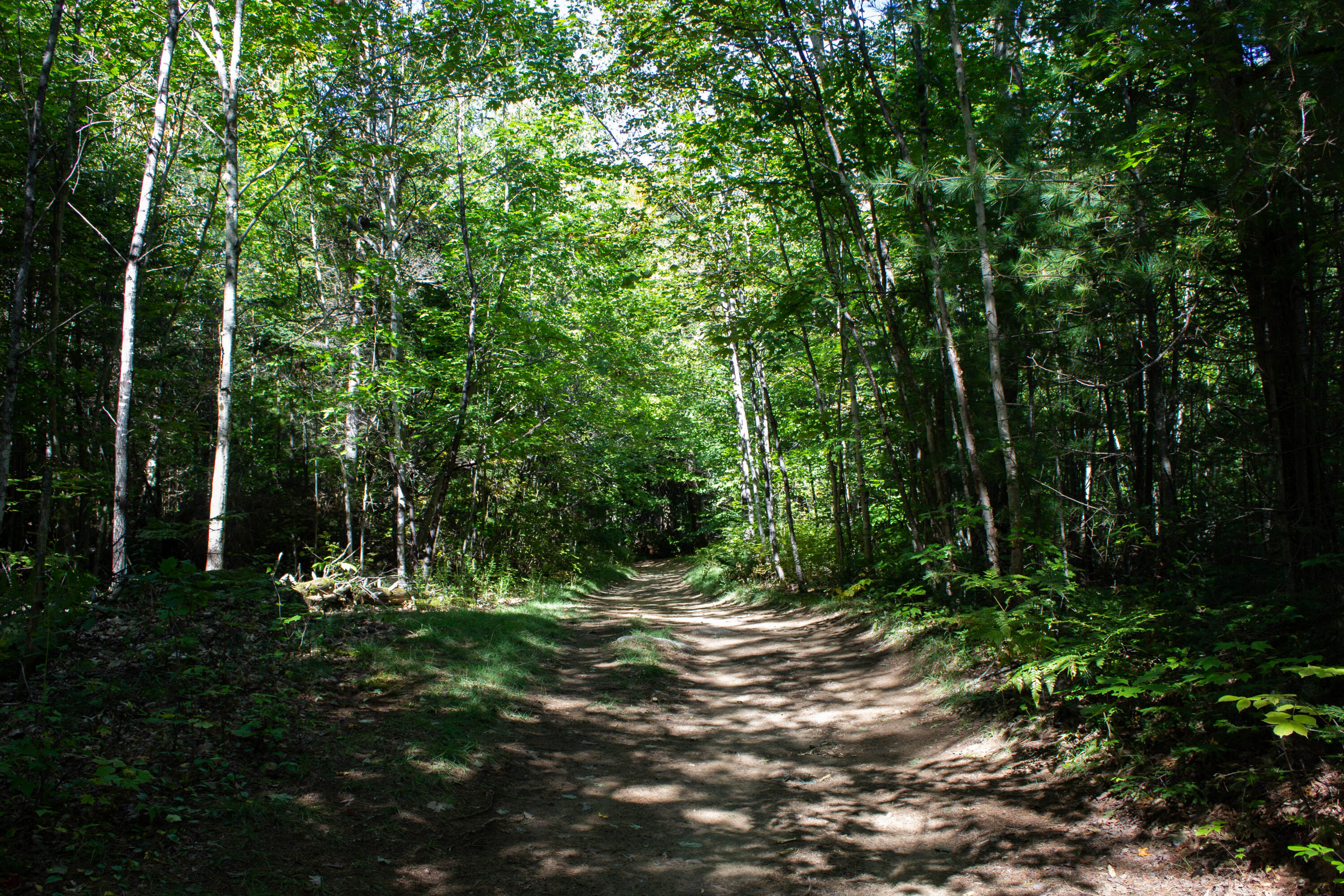 45 A Canton Point Road Dixfield, ME 04224 - Photo 6 of 9 IMG_7934