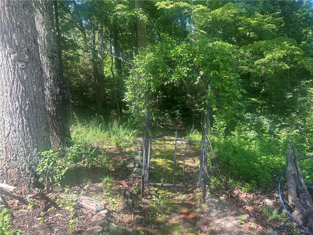 418 Saluda Road Williamston, SC 29697 - Photo 21 of 40 A whimsical arched trellis invites passage into a secluded, verdant outdoor space.
