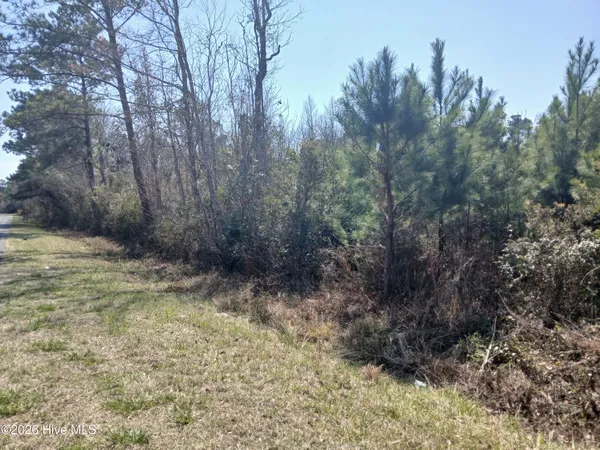 $50,000 | 390 Chadwick Acres Road, Sneads Ferry, NC 28460
