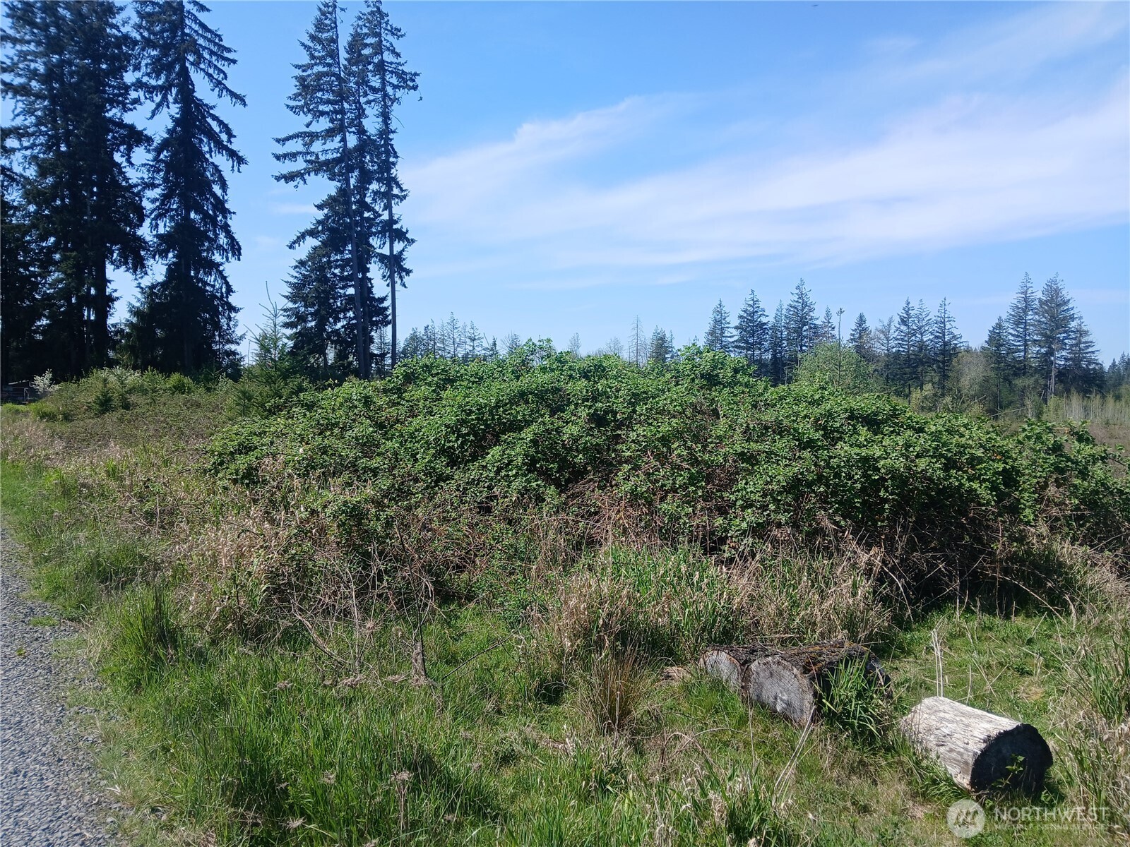 123 Meier Road Winlock, WA 98596 - Photo 11 of 23 a view of a garden