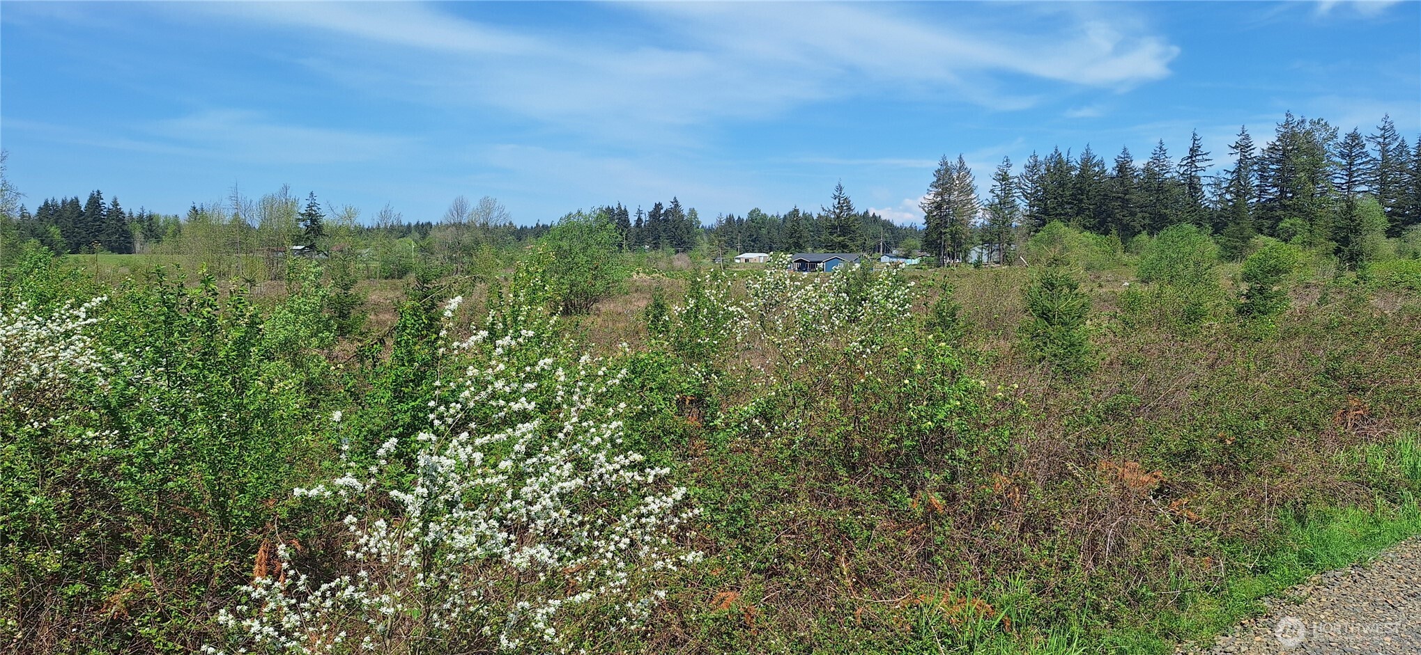 123 Meier Road Winlock, WA 98596 - Photo 17 of 23 a view of a city with lush green forest