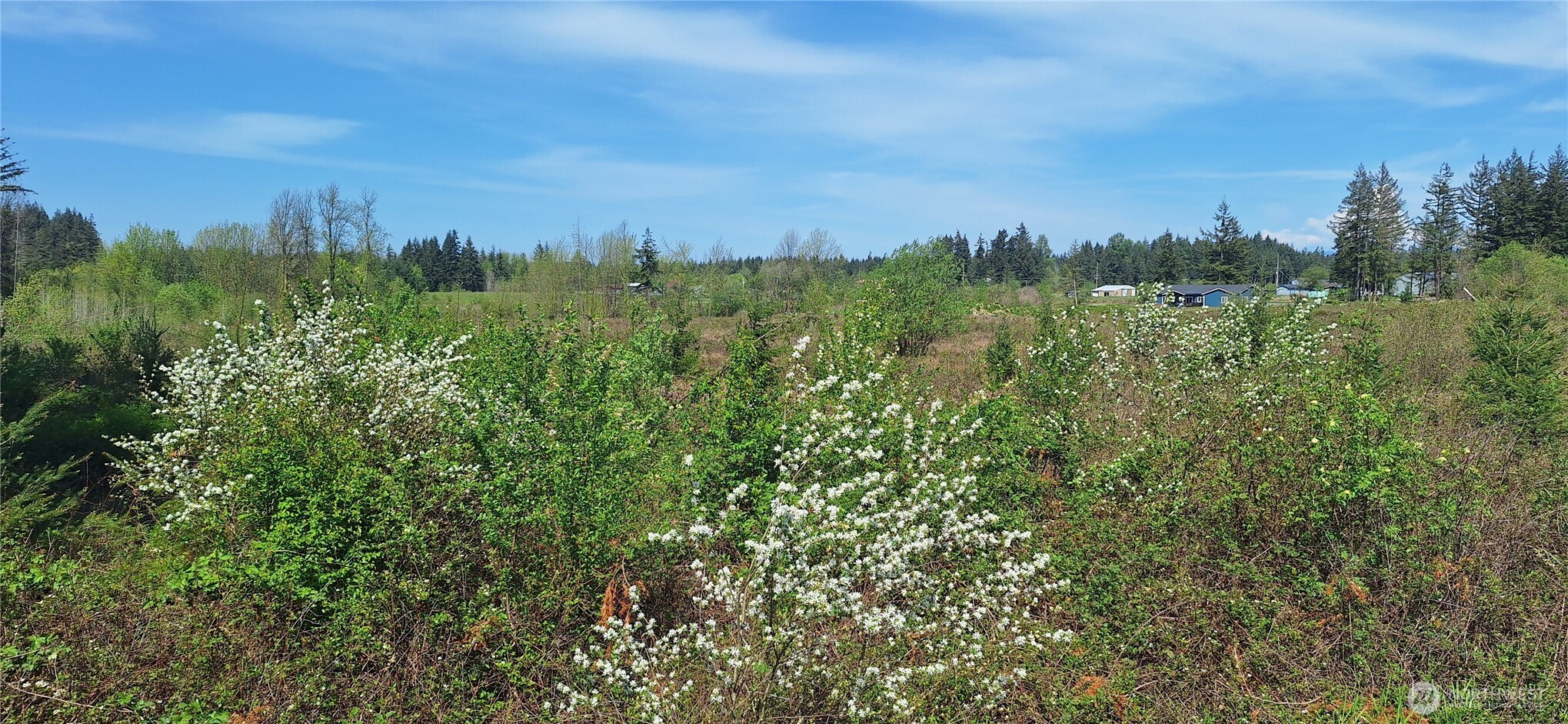 123 Meier Road Winlock, WA 98596 - Photo 18 of 23 a view of a city with lush green forest