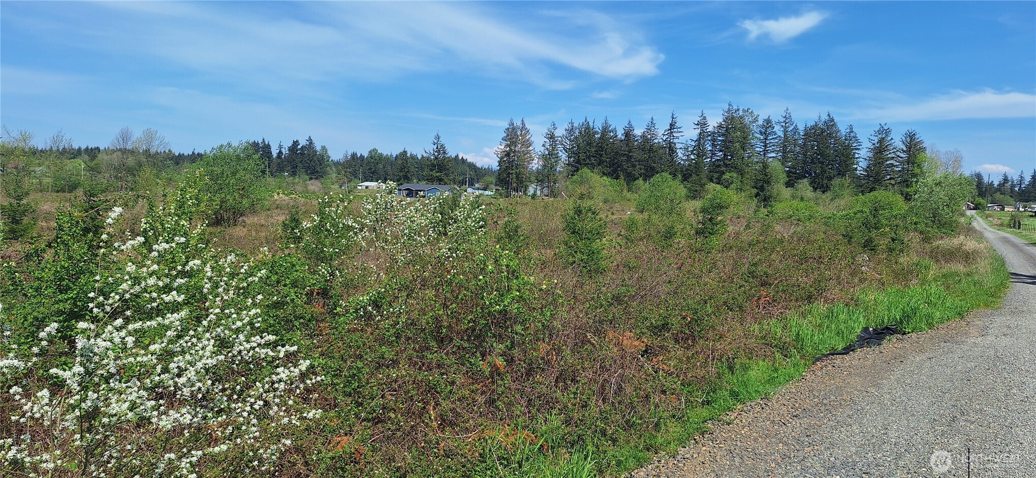 123 Meier Road Winlock, WA 98596 - Photo 19 of 23 a view of a city with lush green forest