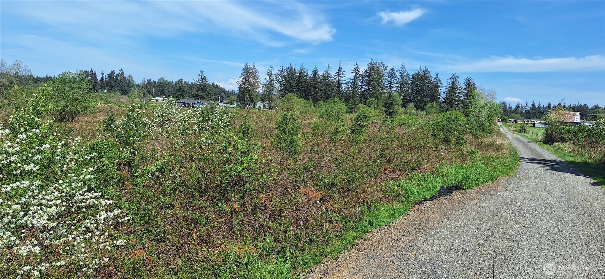 123 Meier Road Winlock, WA 98596 - Photo 20 of 23 a view of a green field with lots of bushes