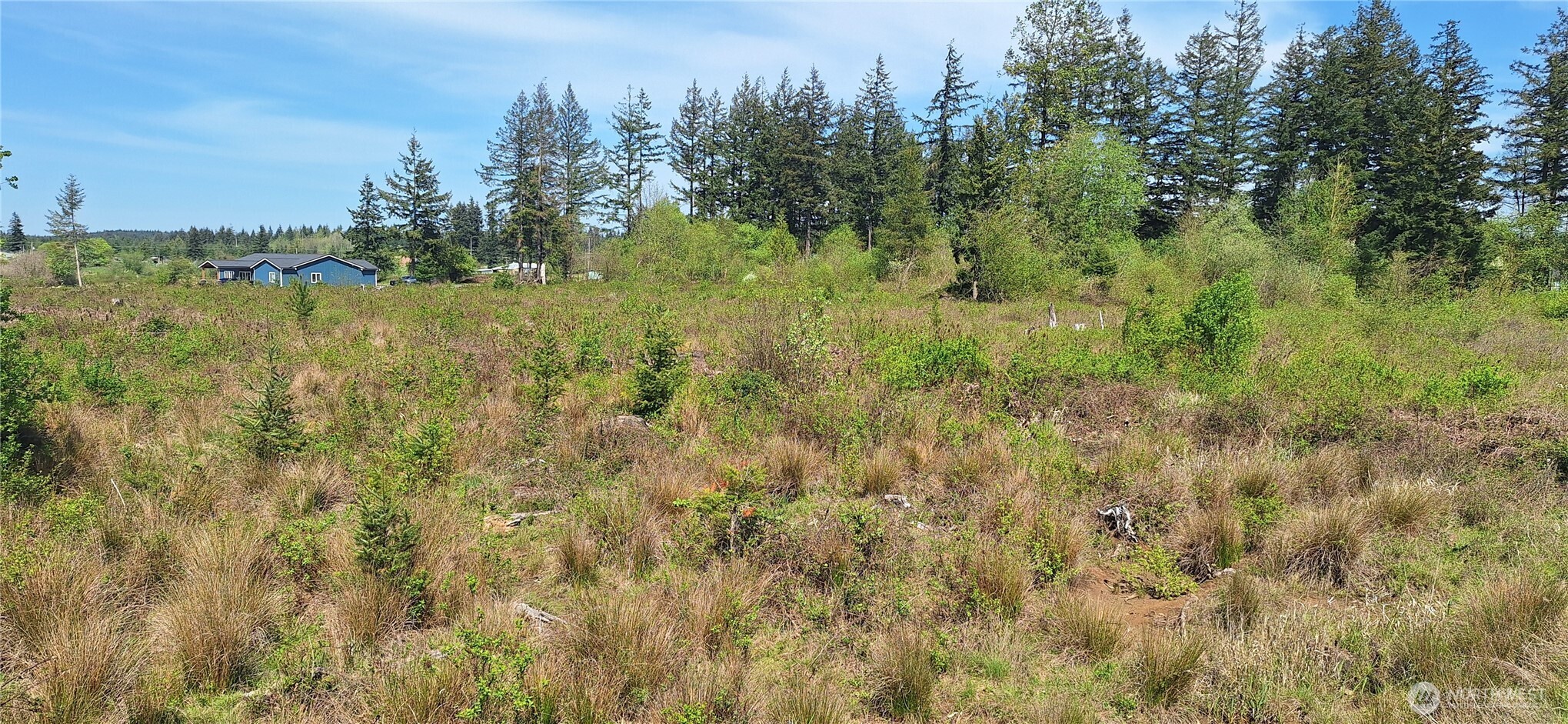 123 Meier Road Winlock, WA 98596 - Photo 2 of 23 a view of a lake with green field and trees in the background