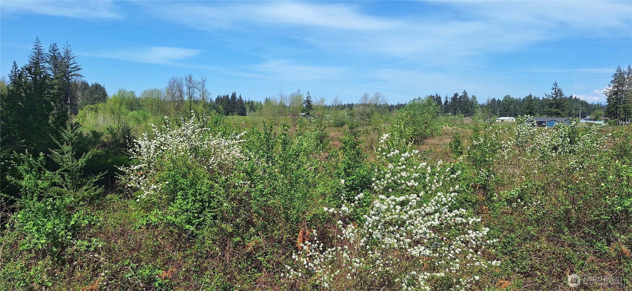 123 Meier Road Winlock, WA 98596 - Photo 21 of 23 a view of a city with lush green forest