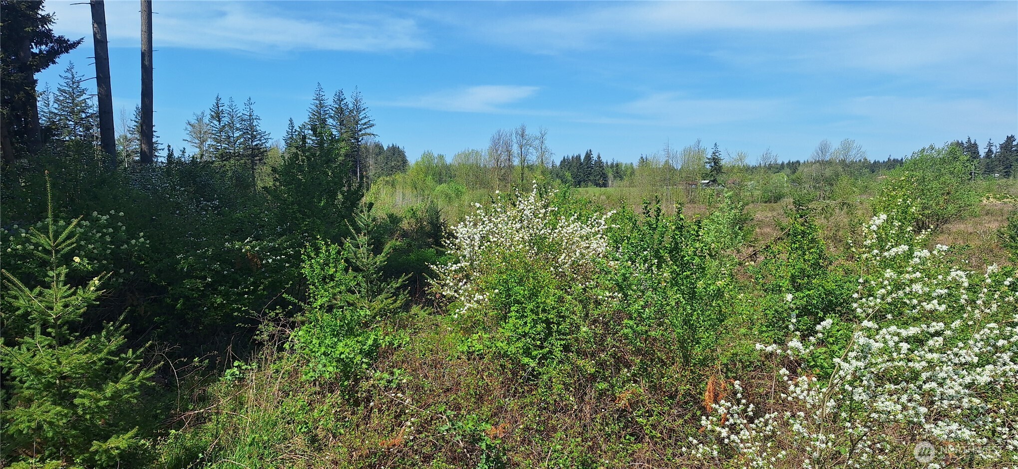 123 Meier Road Winlock, WA 98596 - Photo 22 of 23 a view of a city with lush green forest