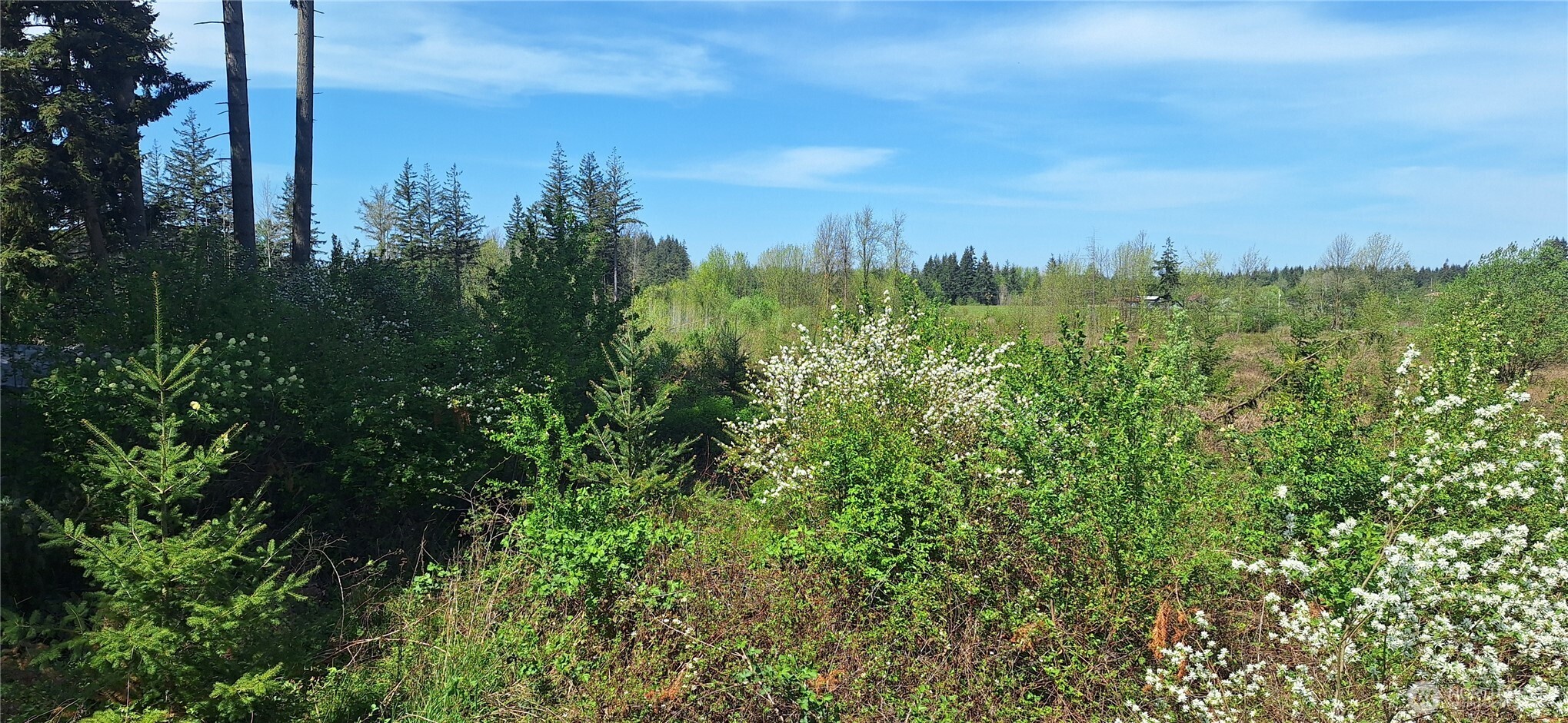 123 Meier Road Winlock, WA 98596 - Photo 23 of 23 a view of a city