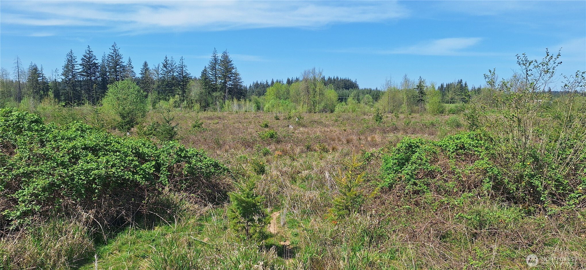123 Meier Road Winlock, WA 98596 - Photo 5 of 23 a view of a city with lush green forest