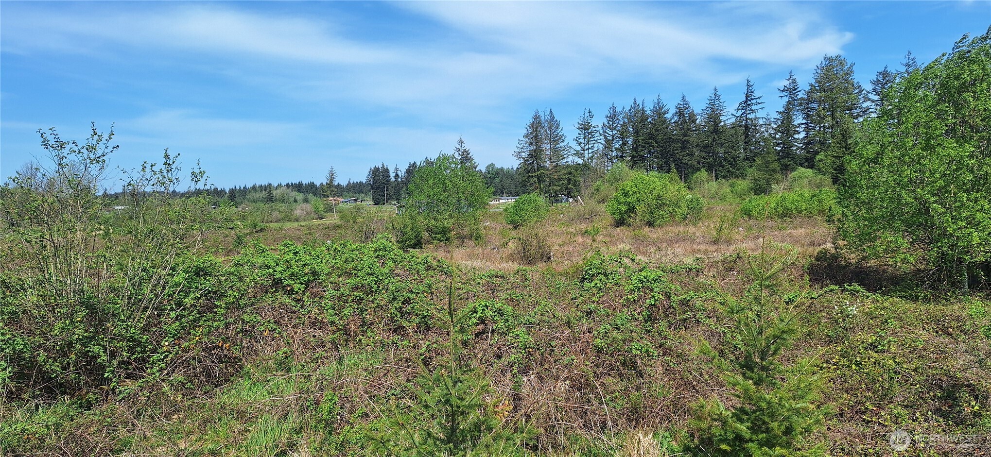 123 Meier Road Winlock, WA 98596 - Photo 8 of 23 a view of a lush green space with sea