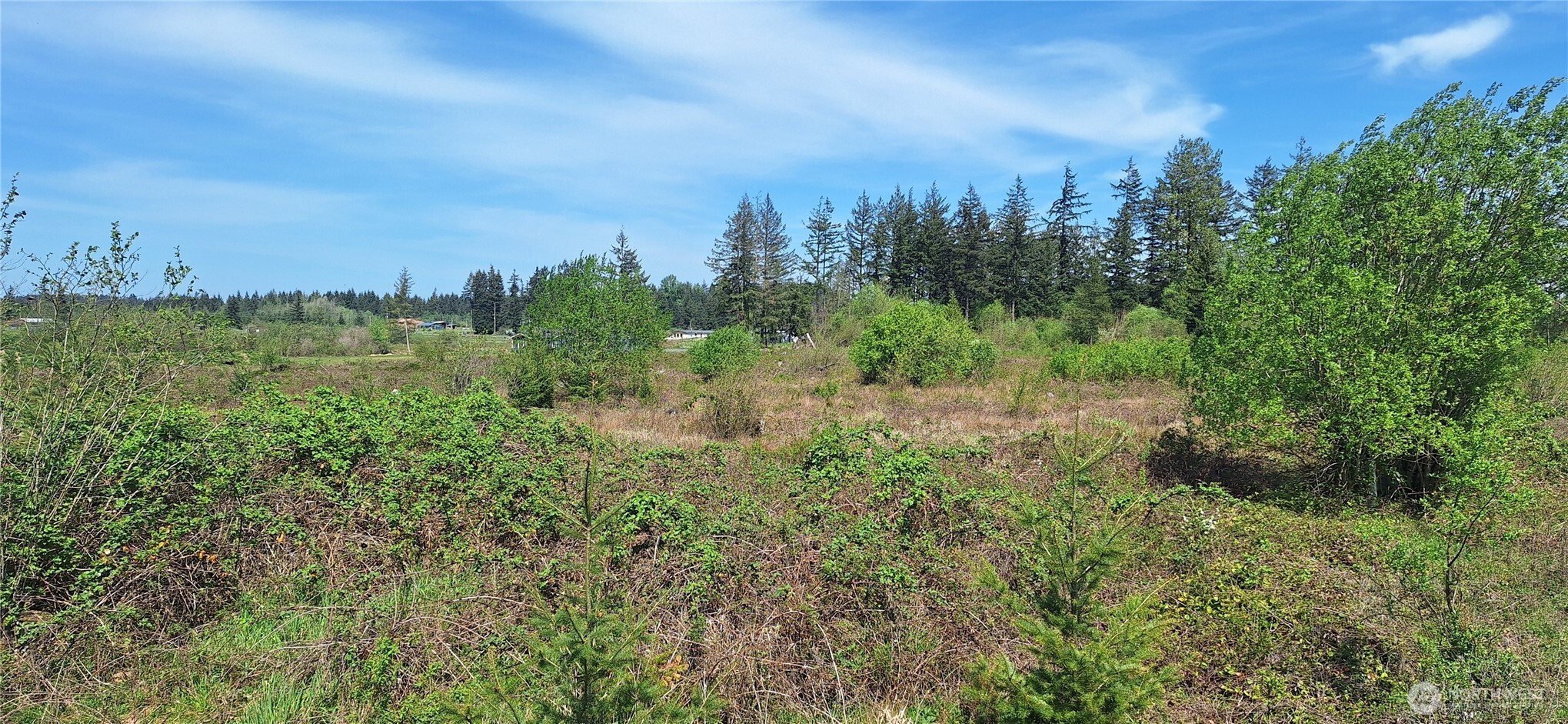 123 Meier Road Winlock, WA 98596 - Photo 9 of 23 a view of a city